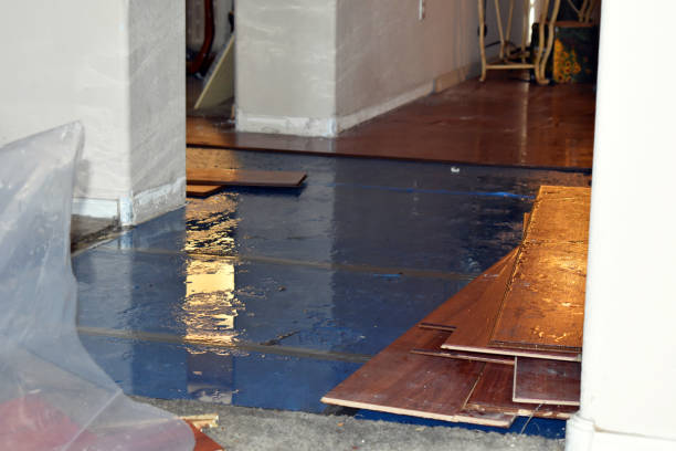 Professional Burst Pipe Cleanup technician working in Trinway, OH